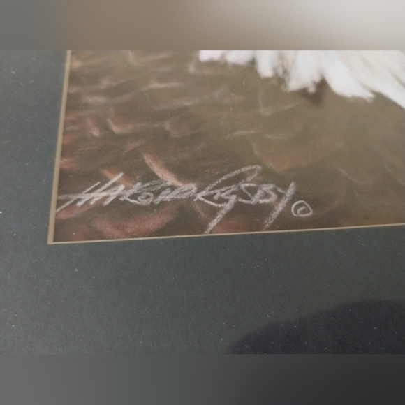 Bald Eagle print - Picture 5 of 15